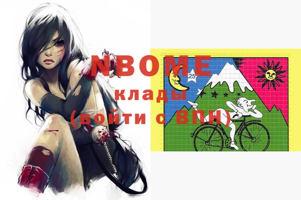 мдпв Каменногорск