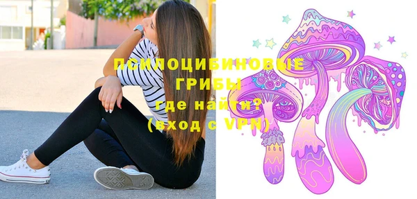 СК Богородицк