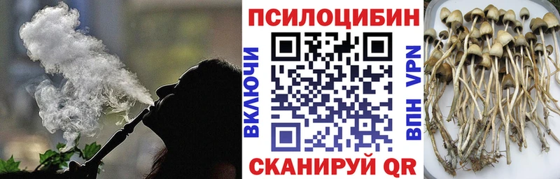сколько стоит  Мариинский Посад  Галлюциногенные грибы мицелий 